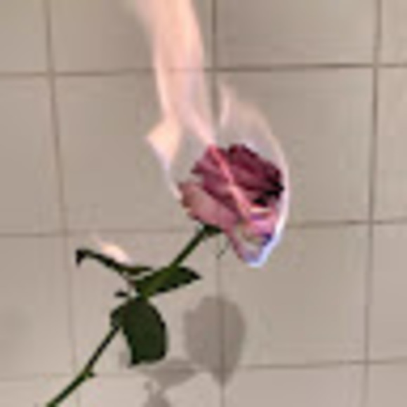 Meet your Posher, Frances - Picture 1 of 1